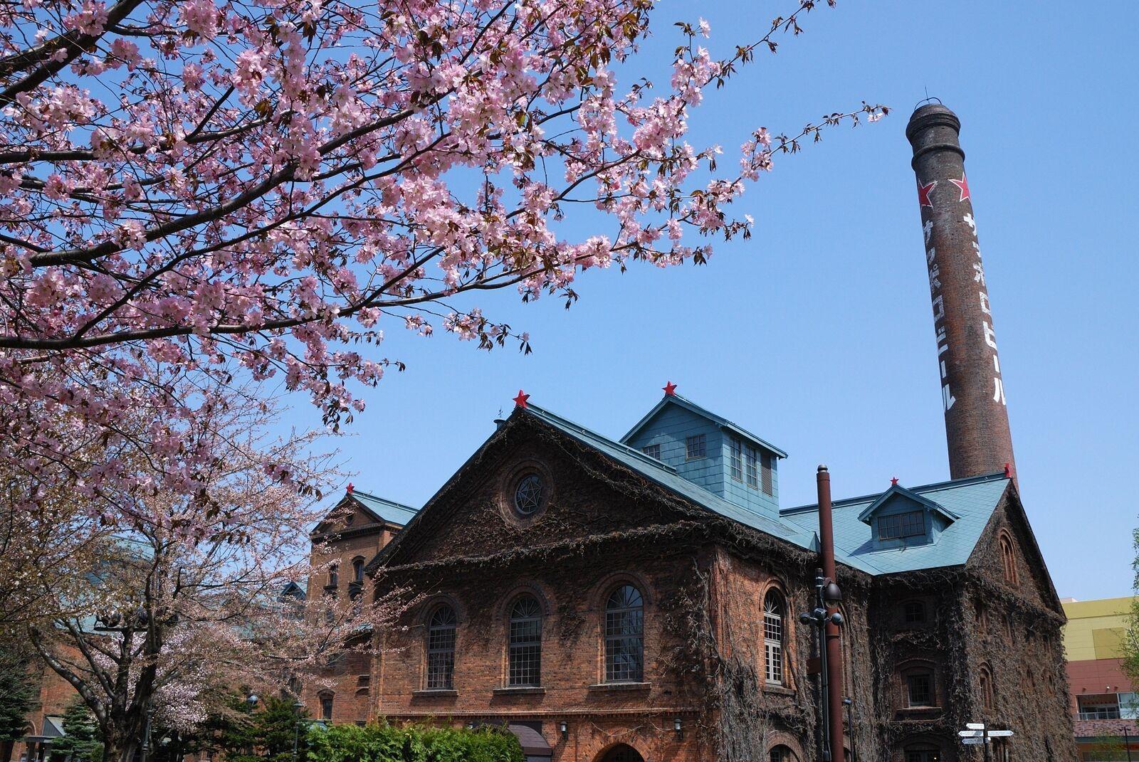 Hotel Wbf Sapporo Chuo Dış mekan fotoğraf